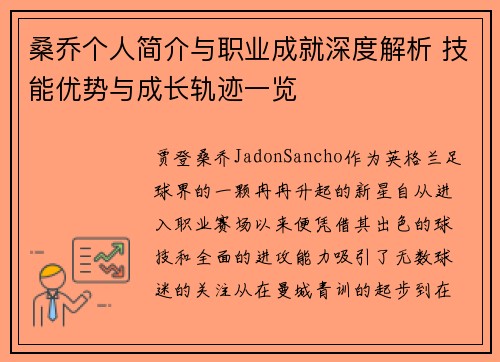 桑乔个人简介与职业成就深度解析 技能优势与成长轨迹一览