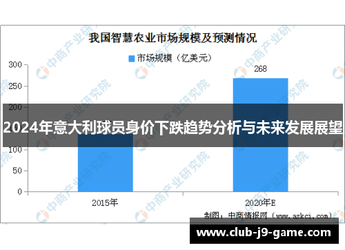 2024年意大利球员身价下跌趋势分析与未来发展展望