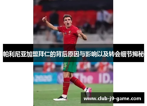 帕利尼亚加盟拜仁的背后原因与影响以及转会细节揭秘