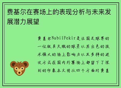 费基尔在赛场上的表现分析与未来发展潜力展望