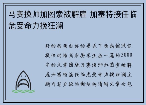 马赛换帅加图索被解雇 加塞特接任临危受命力挽狂澜