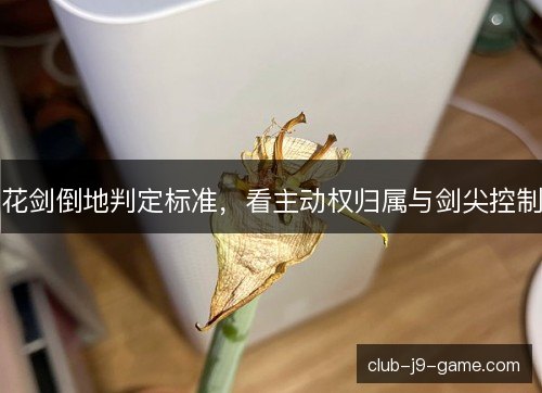 花剑倒地判定标准，看主动权归属与剑尖控制